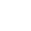 Processor